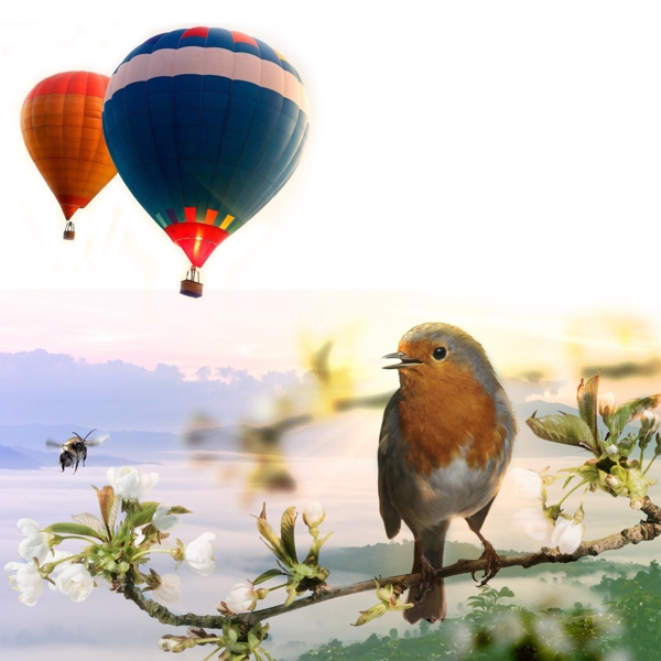 鸟花热气球广告背景素材
