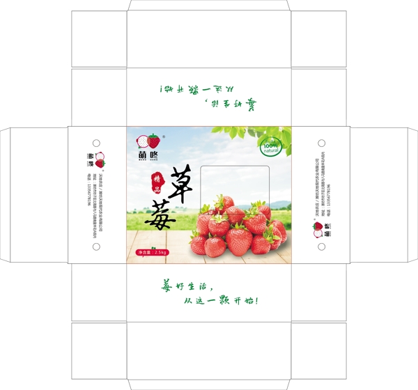 草莓扣盒图片