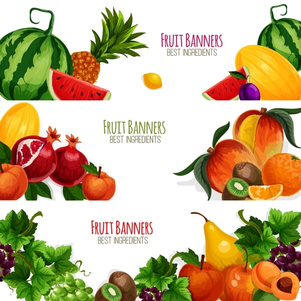 夏天健康蔬菜水果海报卡片背景矢量