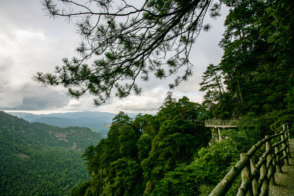 井岗山笔架山图片