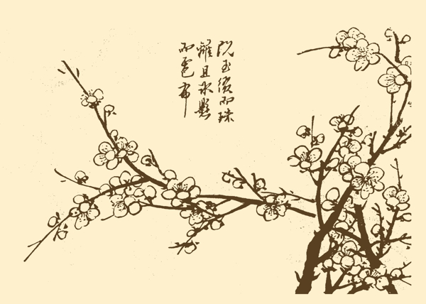 芥子园画谱梅花图片