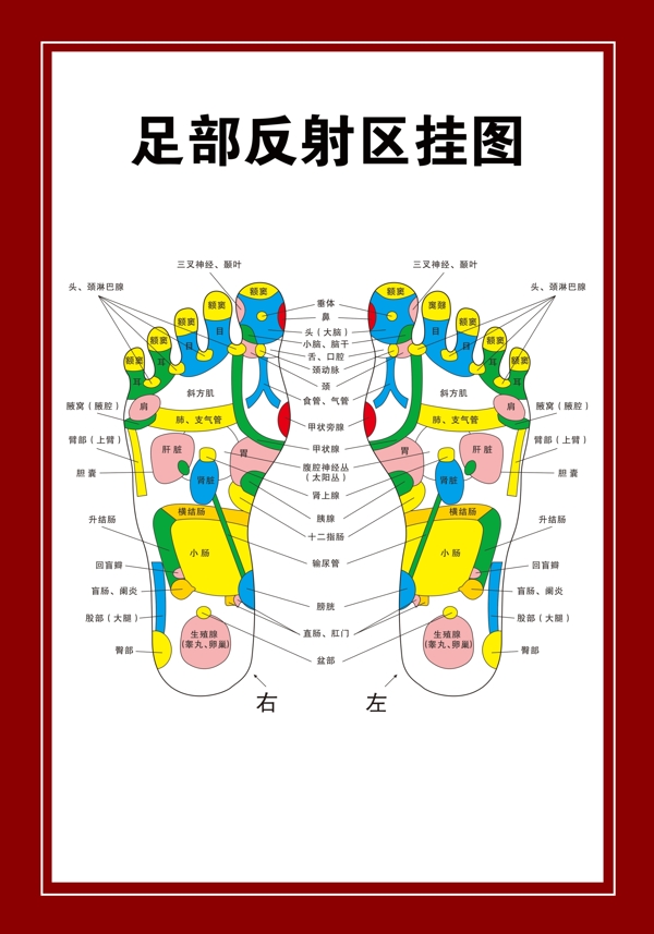 足部学位图图片