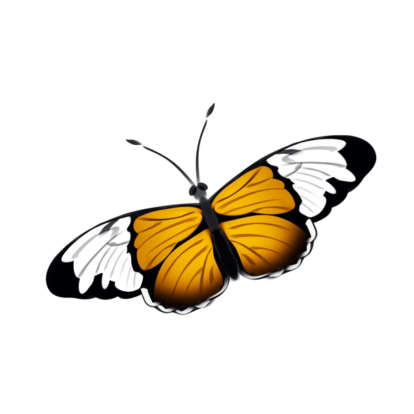 黄白色蝴蝶装饰插画