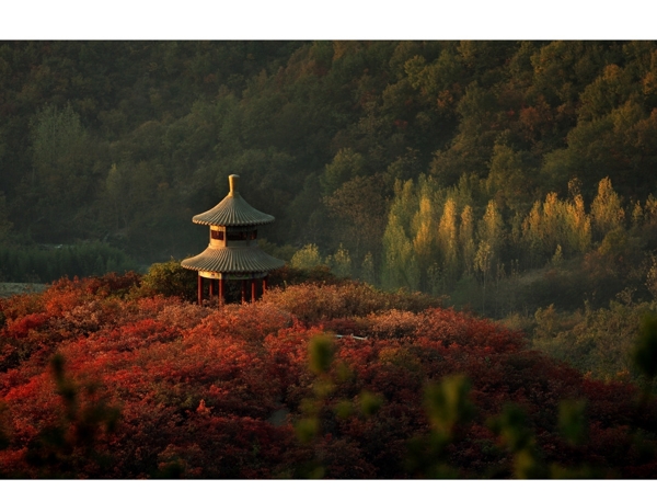 秋天高山非高清图片