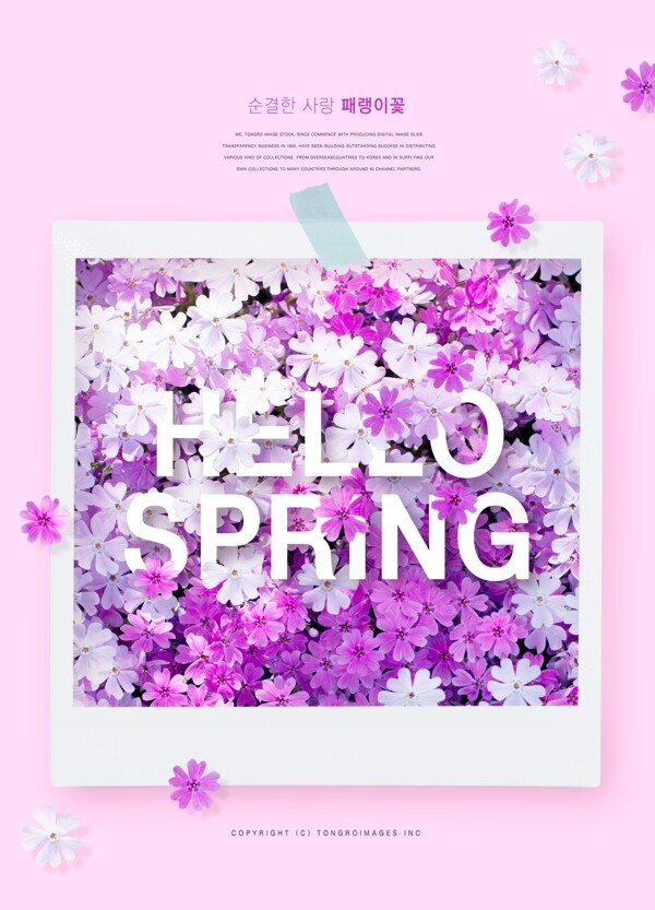 清新韩系粉色鲜花海报设计