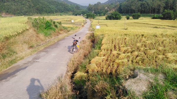 山川的田野