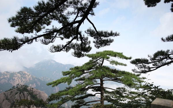 黄山风光图片