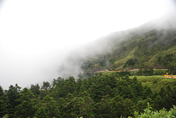 台湾武岭起雾图片