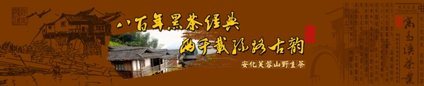 黑茶网页banner