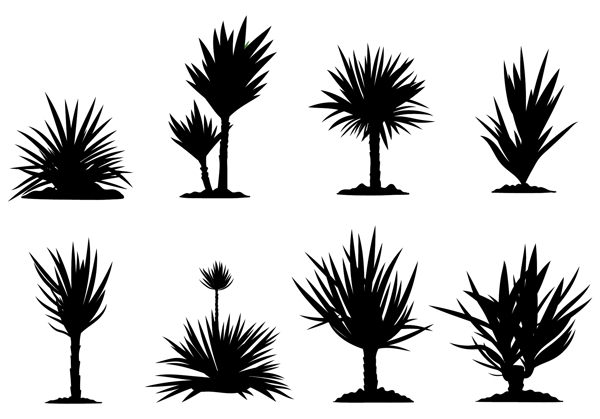 矢量树木图标设计