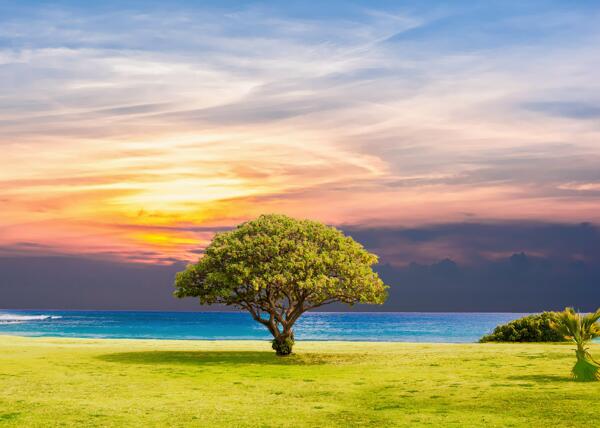 夕阳下的草原风光