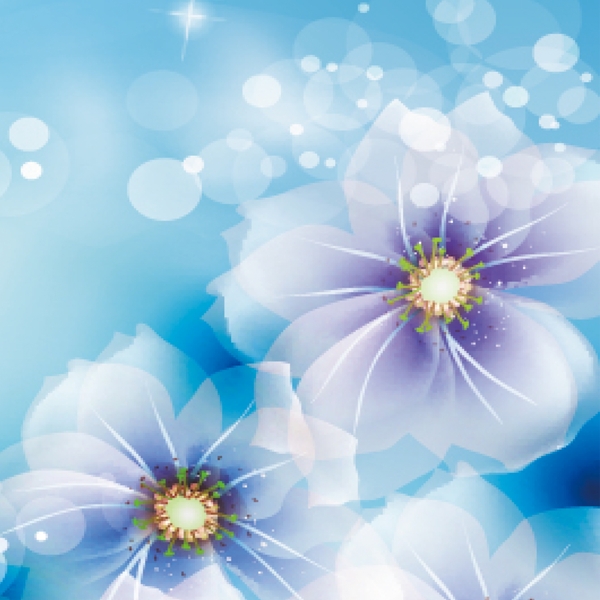 花朵光圈高光蓝色素材