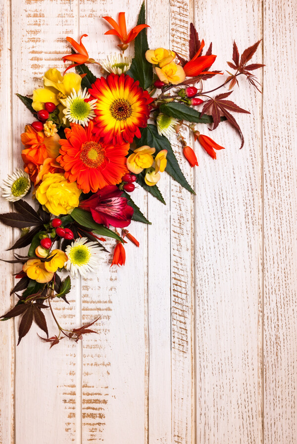 木板上的秋天花朵图片