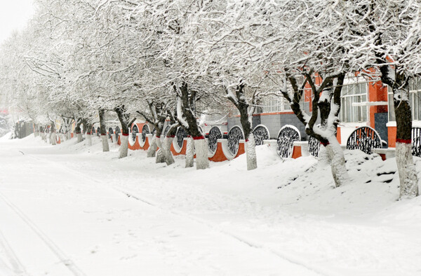 雪乡图片