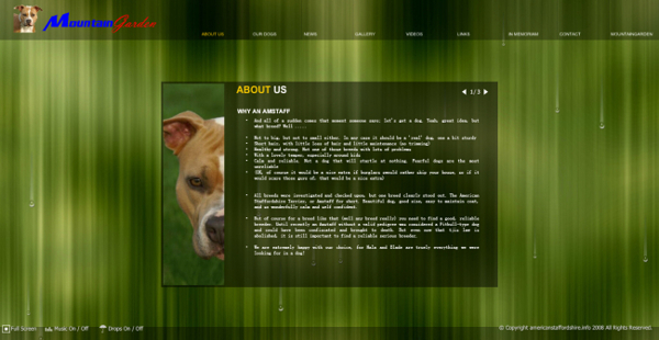 野生动物网页动画模板