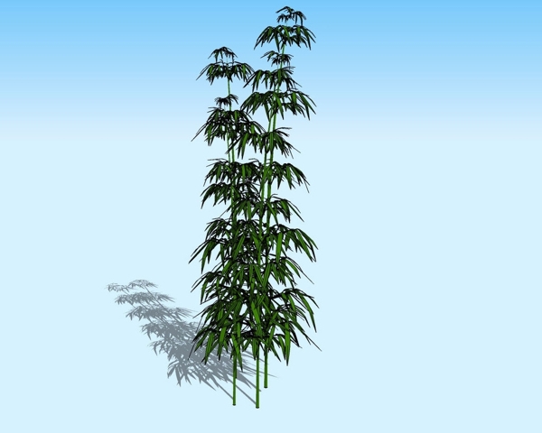植物3D模型图片