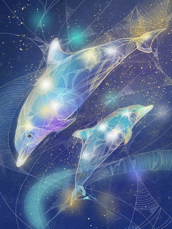 动物复古风海豚独特透明感插画