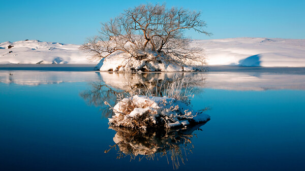 冬天树蓝天湖水反射壁纸