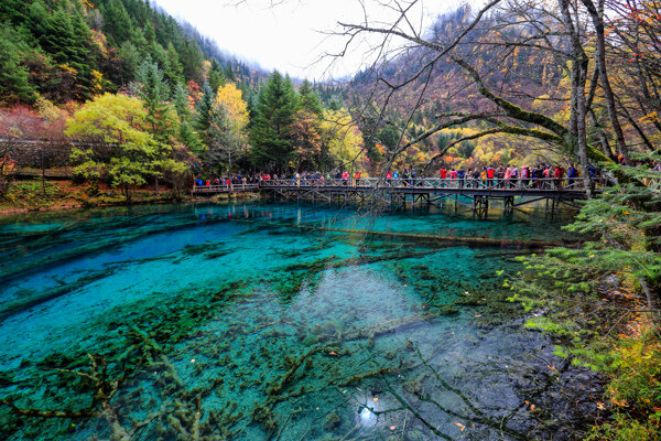 九寨沟五花海图片