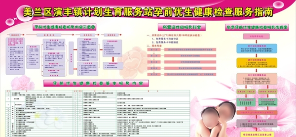 孕前优生健康检查服务指南图片