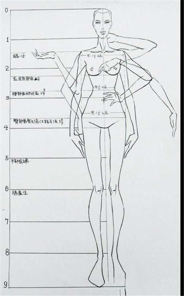 女装设计轮廓线稿图