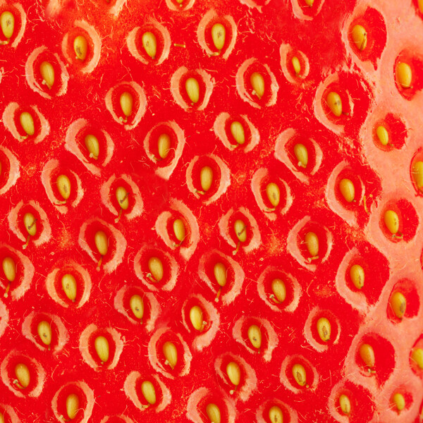 草莓纹理背景