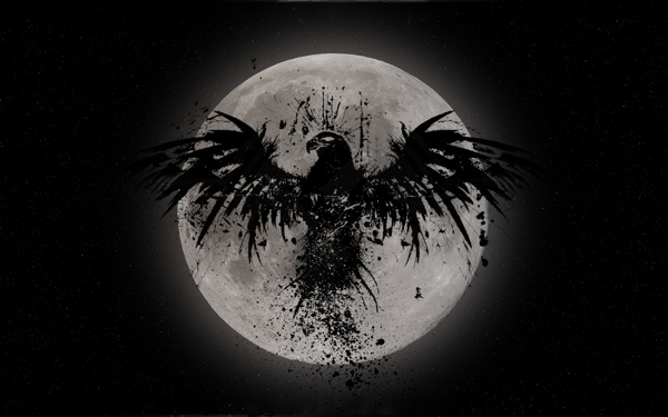 月夜下的雄鹰图片