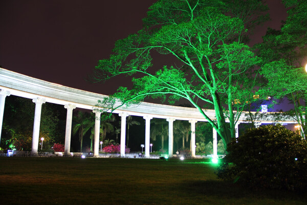 公园夜景图片