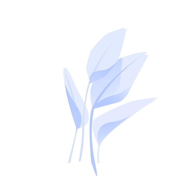 蓝白植物叶子免扣图