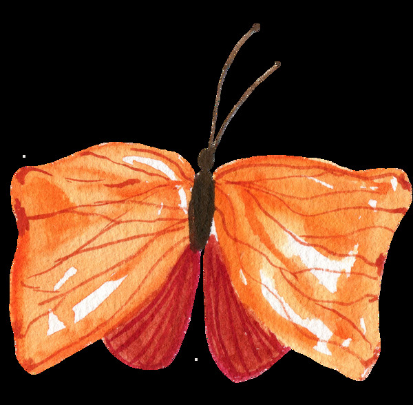 水彩绘画蝴蝶图案图片