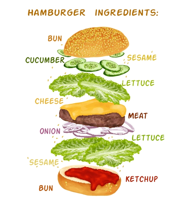 hamburguer成分设计