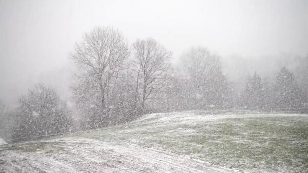 冬季降雪视频素材