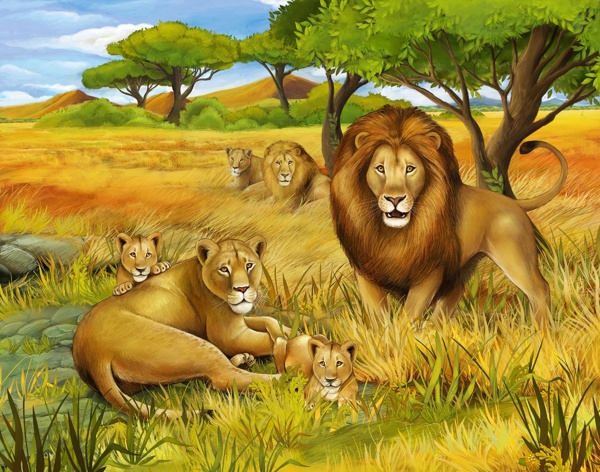 草地上的卡通狮子图片