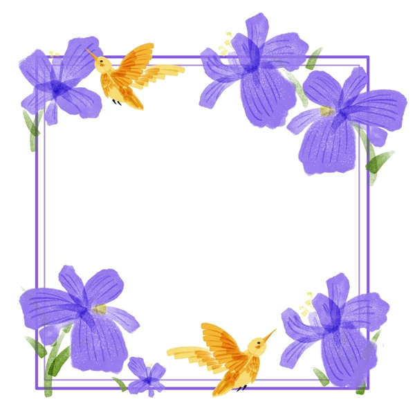 春夏紫鸢花方形橘黄色蜂鸟贺卡边框
