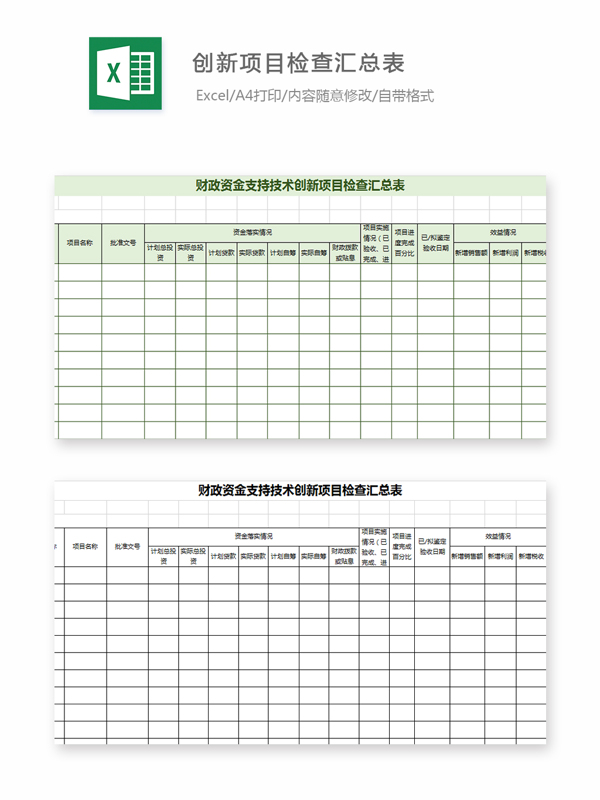 财政资金支持技术创新项目检查汇总表excel模板