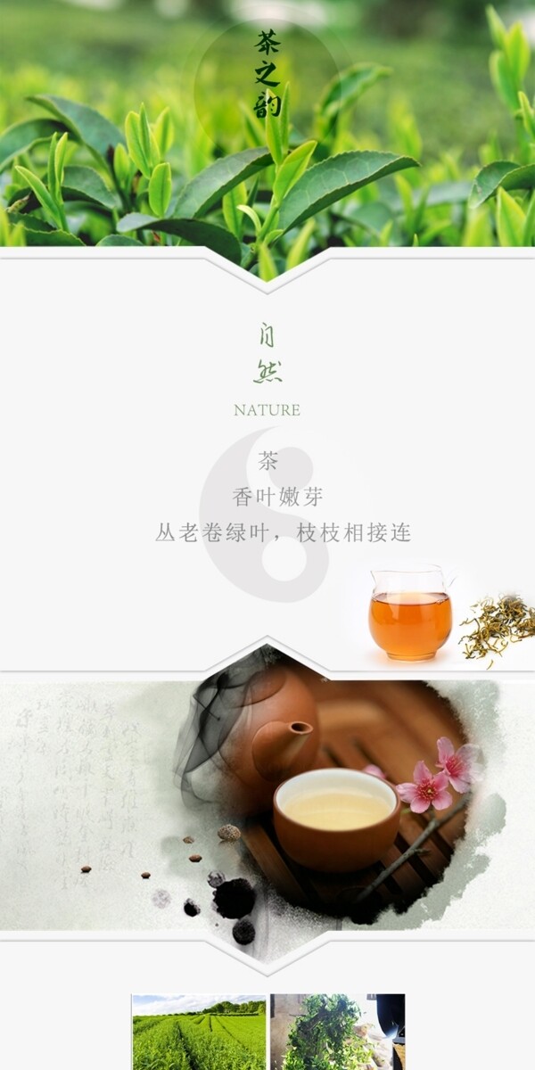 茶之韵茶详情页PSD免费下载