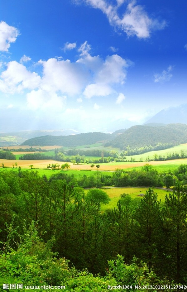 绿色大自然风景图片