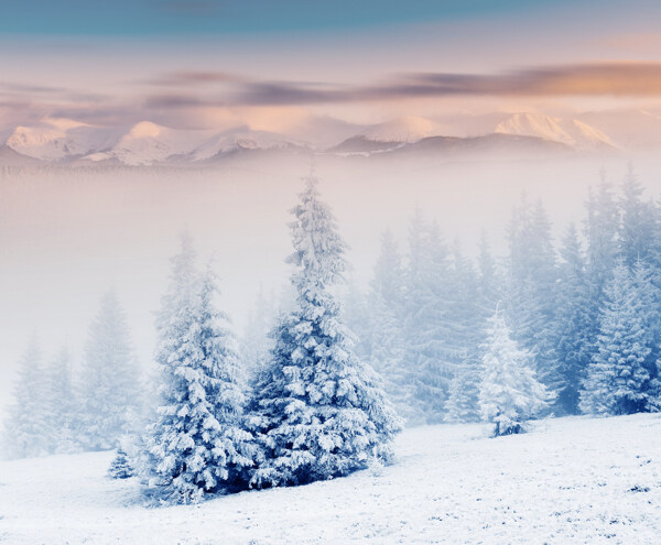 冬季雪景图片