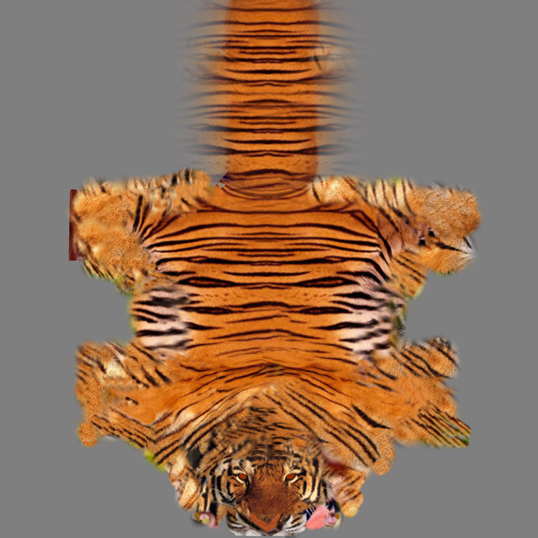 森林之王老虎模型