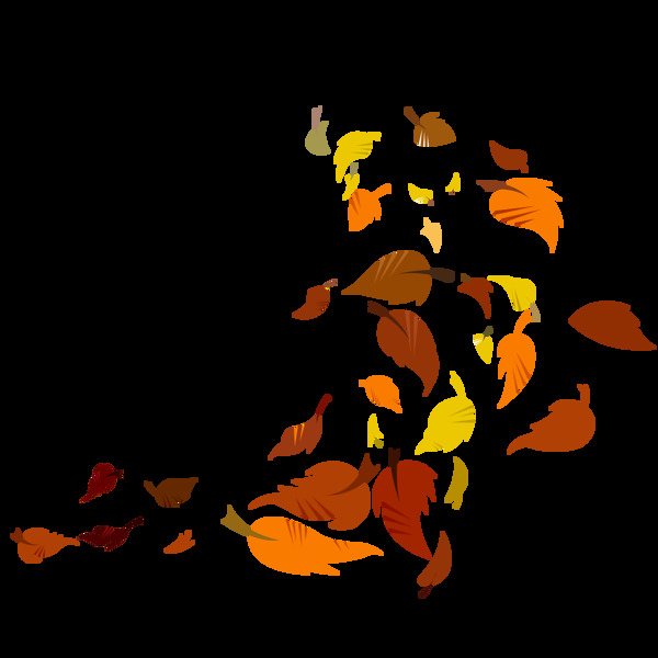秋风扫落叶图片