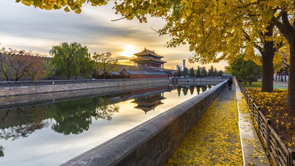 中国北京神武门的秋天图片