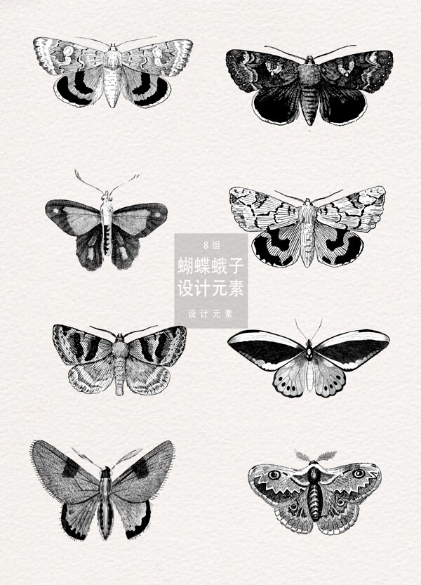 蝴蝶蛾子手绘设计元素