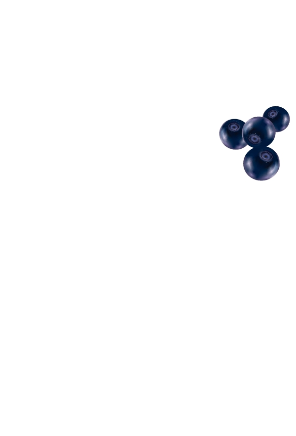 蓝莓UI标识标志