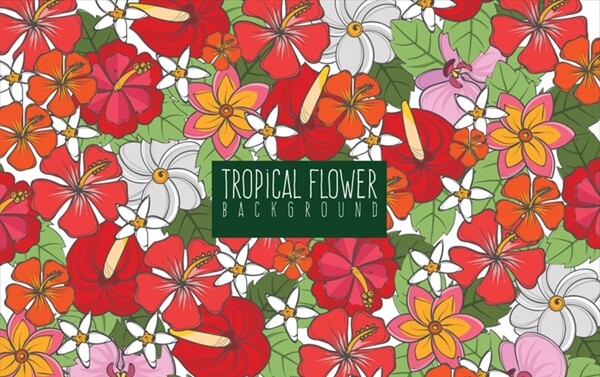 手绘多彩的热带花卉的背景