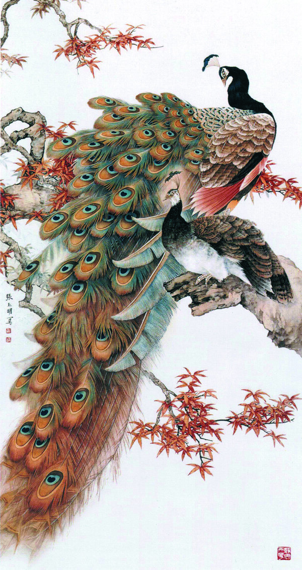 红叶孔雀图图片