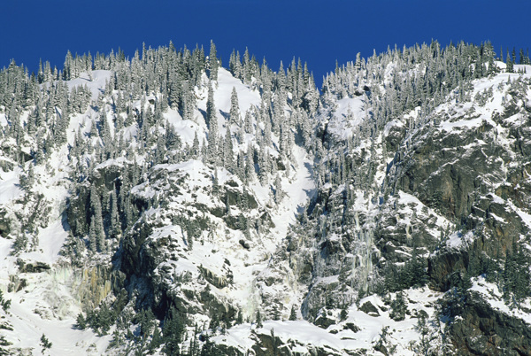 高山上的积雪图片