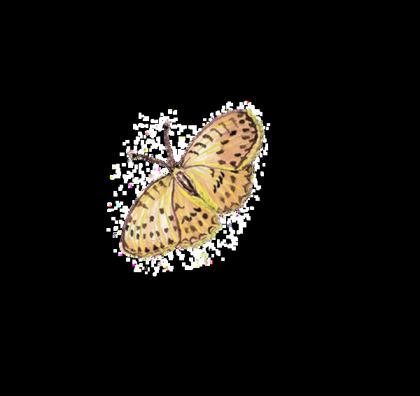 黄翅蝴蝶透明装饰素材