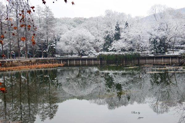 武汉大学鉴湖雪景