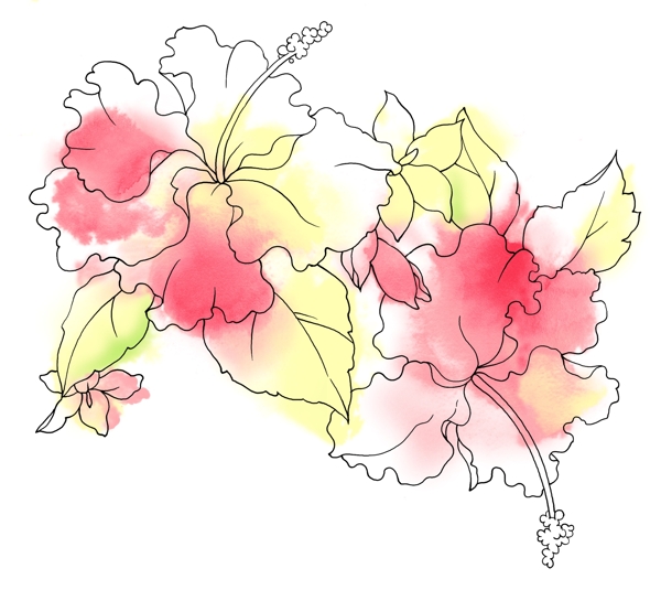 花纹图片