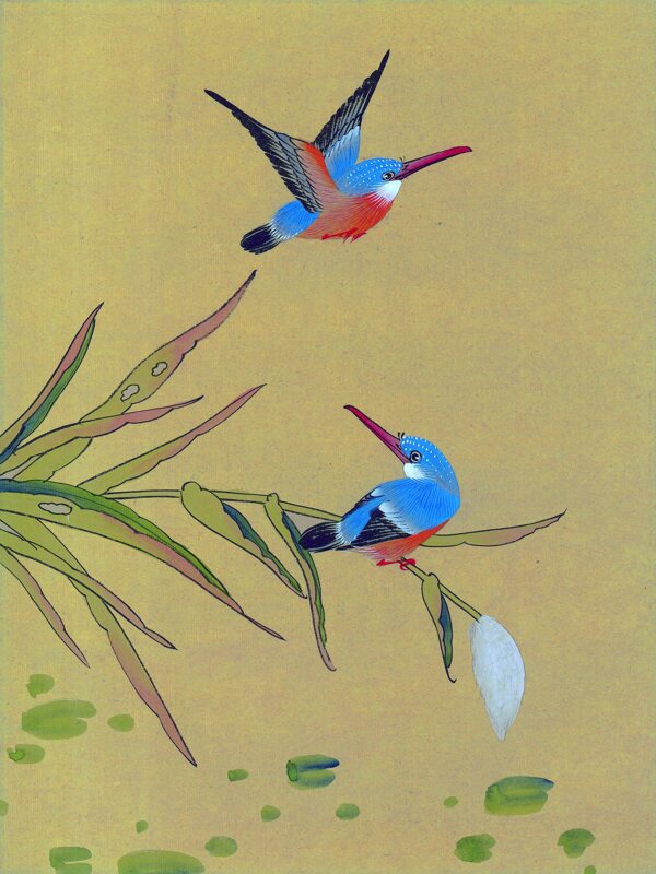 两只蓝色小鸟与植物图片